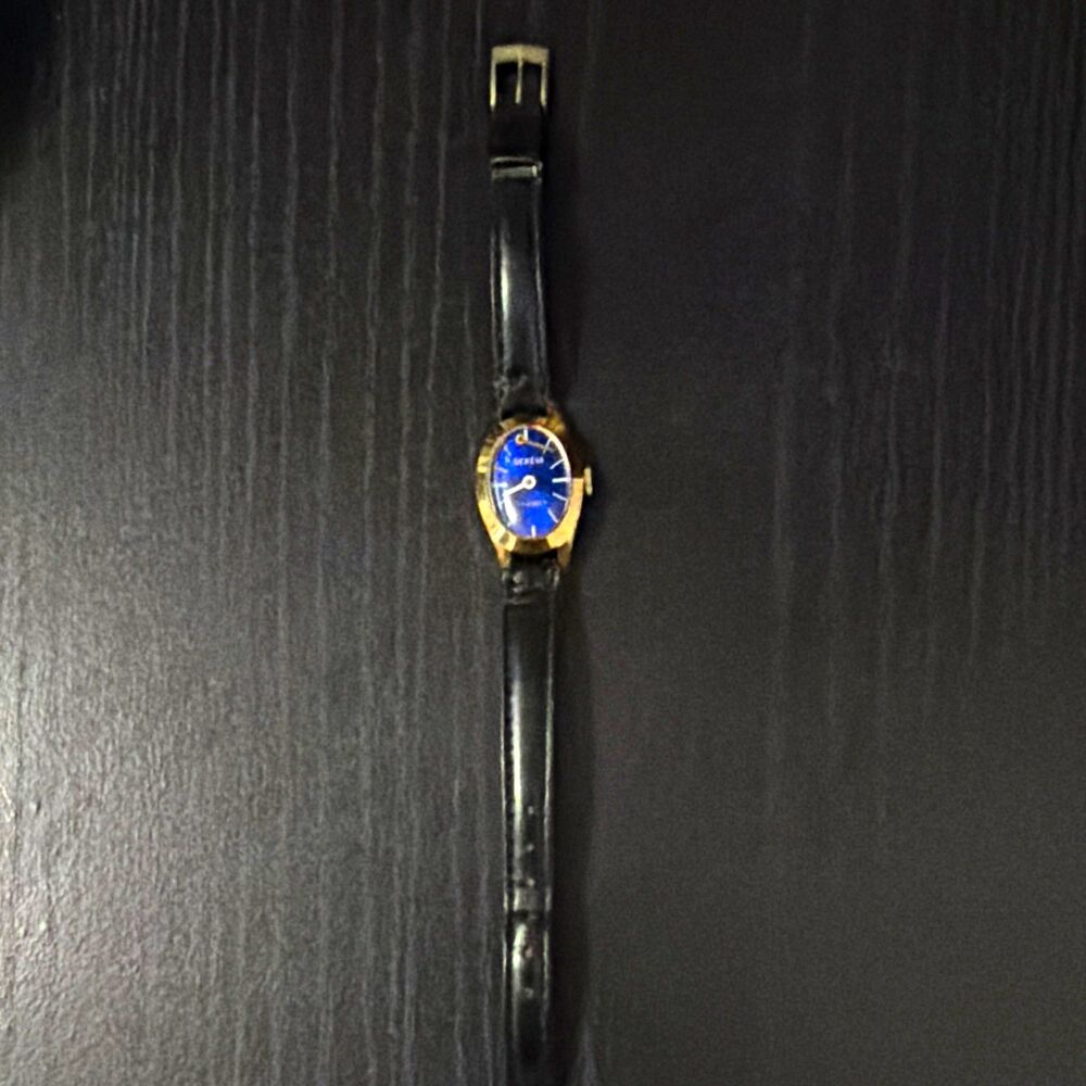 Vintage Geneva 17 Jewels Mechanical Watch Blue Dial Gold Tone Swiss Style